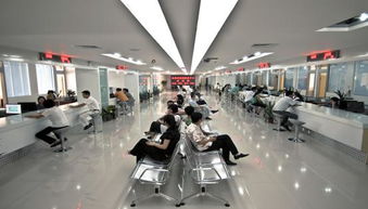 打造誠信社會 服務(wù)經(jīng)濟(jì)發(fā)展