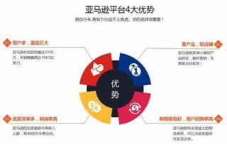 跨境電商亞馬遜店群,批量開店創(chuàng)業(yè)指導,亞馬遜erp系統(tǒng)貼牌定制